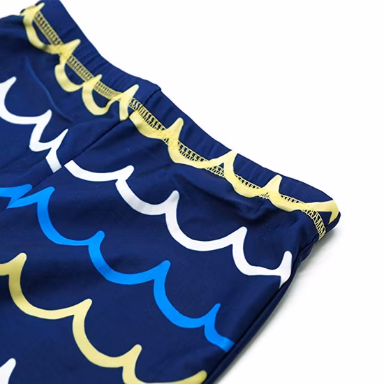 Boys′ Assorted Rashguard Set Long Sleeve Nylon Two Piece Swimwear