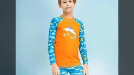 Boys′ Assorted Rashguard Set Long Sleeve Nylon Two Piece Swimwear
